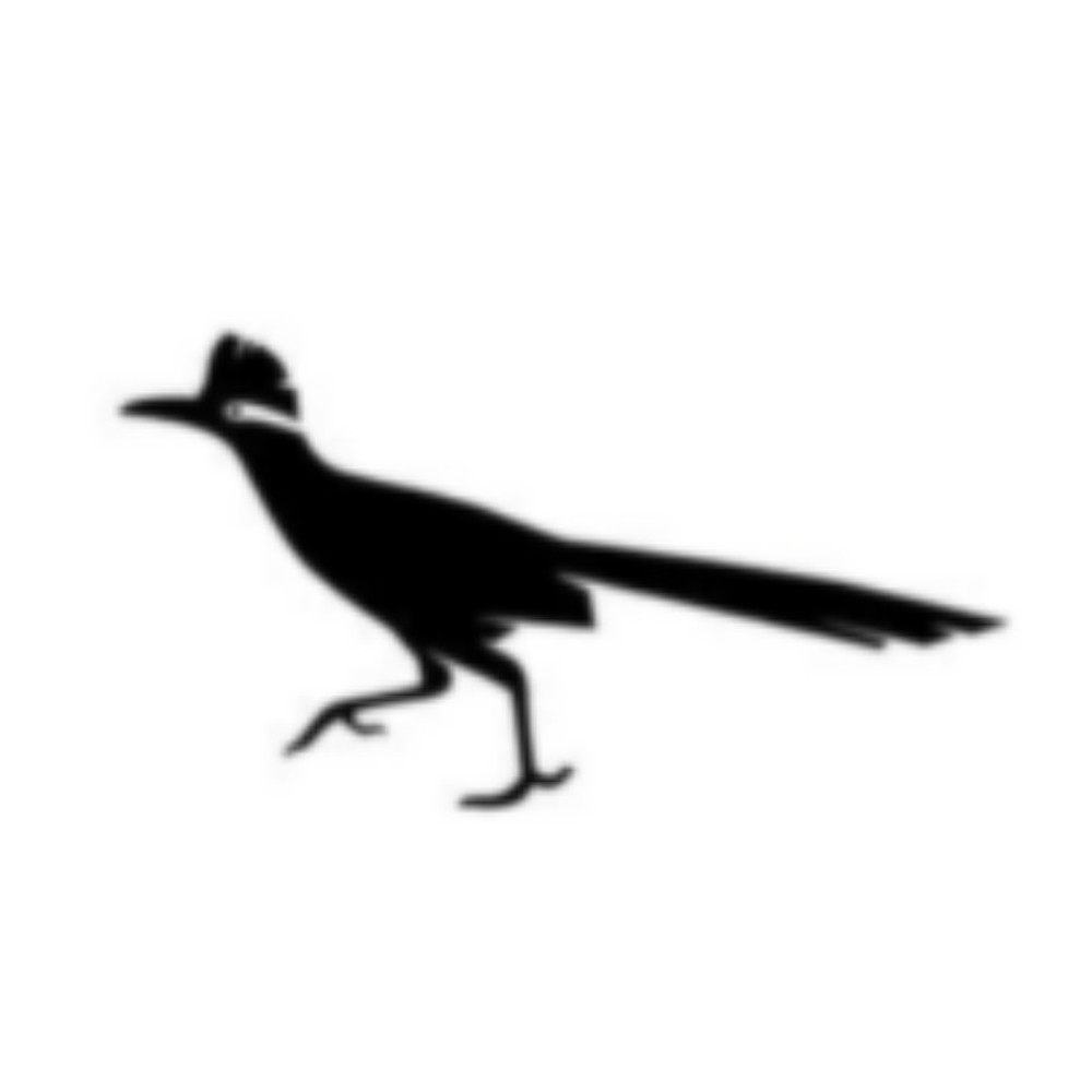 Meet your Posher, Roadrunner